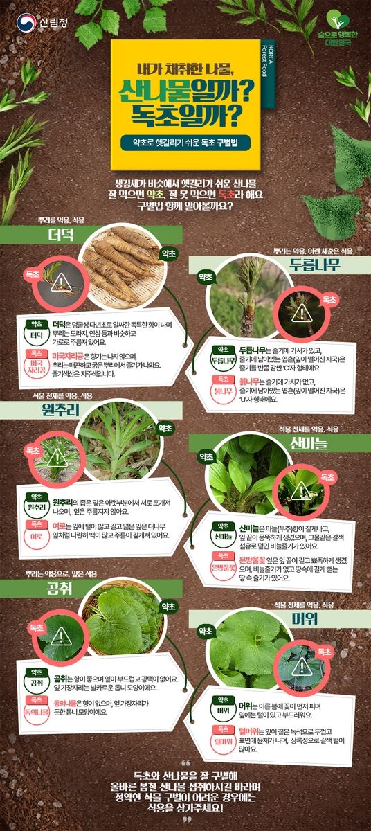 [산림청 제공. 재판매 및 DB 금지]