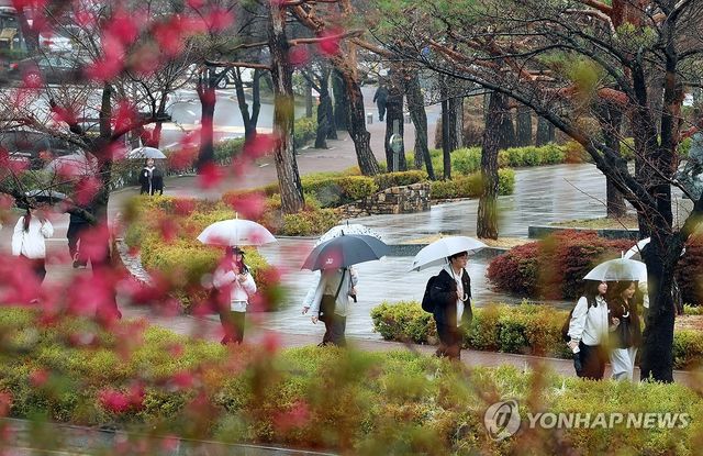 봄비 내리는 캠퍼스