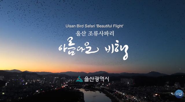 울산 조류사파리 홍보 영상