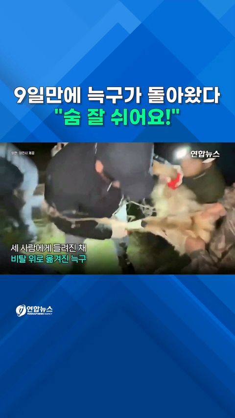 [쇼츠] "숨 잘 쉬어요!"…9일 만에 늑구가 돌아왔다 - 2