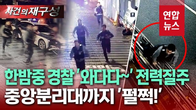 [영상] 음주운전 아닌데 왜?…중앙분리대 '펄쩍!' 숨막히는 전력질주 - 2