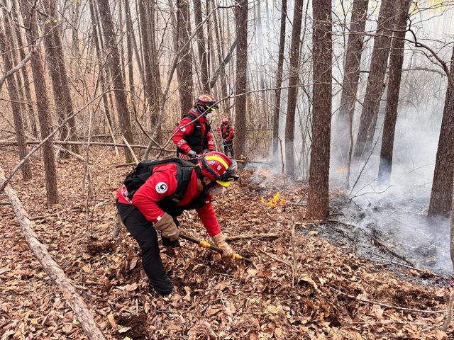 평창 대관령 산불