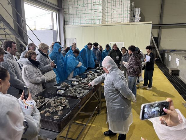 굴 양식장 방문한 셰프들