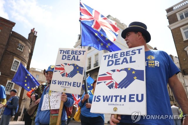 작년 5월 브렉시트 반대 시위대