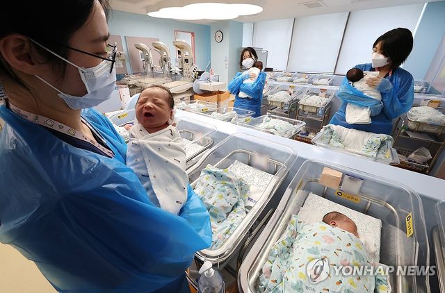 출생아 수 19개월 연속 증가