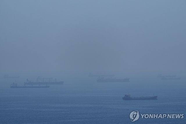 호르무즈 해협에 닻을 내리고 멈춰있는 선박들