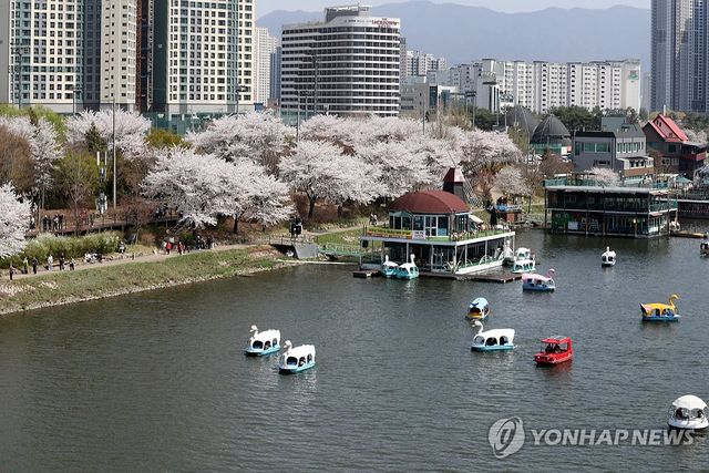 봄기운 찾아온 춘천