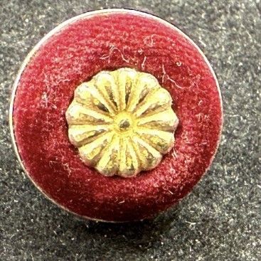 일본 지방 의회용 금배지