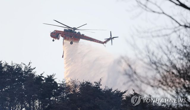 분주한 진화 작업