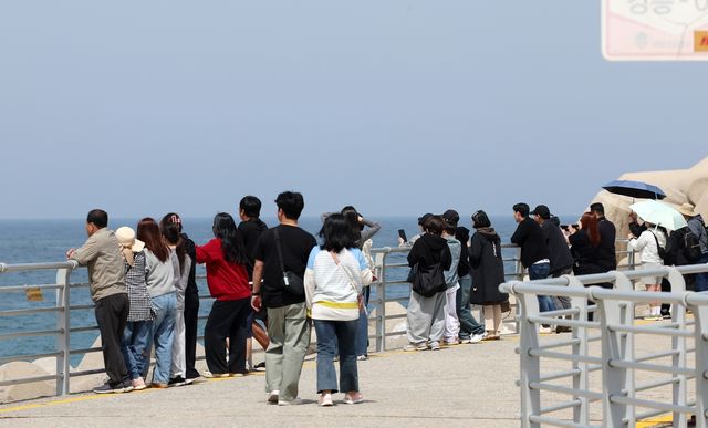 방파제에서 안목이 구경 중인 관광객들