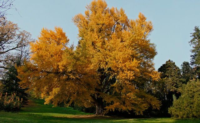 영화 '침묵의 친구' 속 장면
