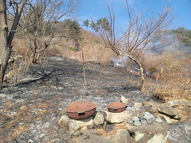 산림 인접 지역 불법 소각 행위 7건 과태료 부과