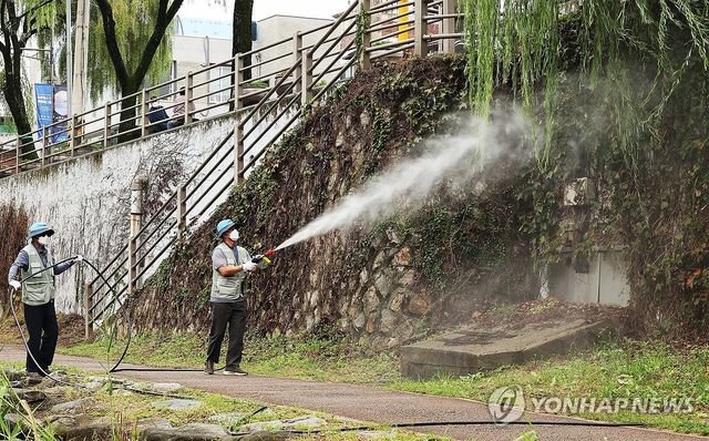 모기 방역 꼼꼼하게