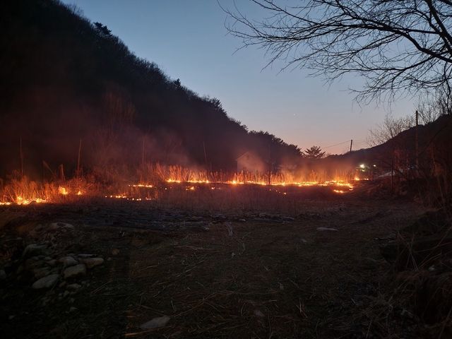 산림 인접 지역 불법 소각 행위 7건 과태료 부과