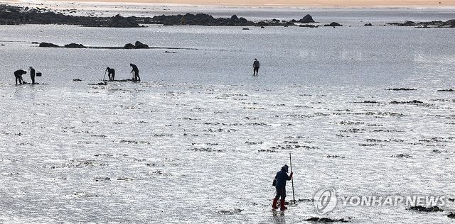 봄이 찾아온 갯벌