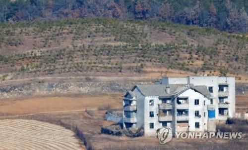 북한 황해북도 개풍군 야산에 심어진 묘목들