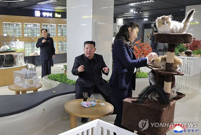 김정은, 개업 앞둔 화성지구 4단계 상업시설 시찰