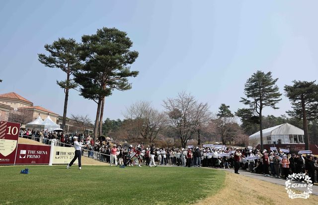 박성현의 샷 지켜보는 갤러리