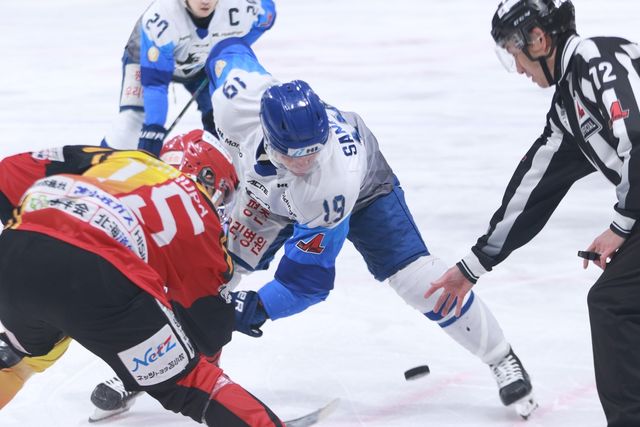 준우승으로 시즌을 마감한 HL안양