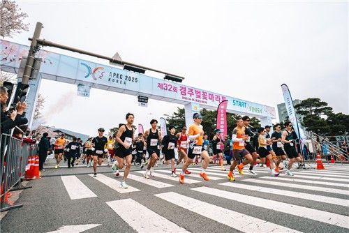 지난해 '경주벚꽃마라톤대회' 