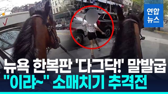 [영상] 뉴욕 한복판서 서부영화?…"이랴!" 말타고 "멈춰!" 경찰 추격전 - 2