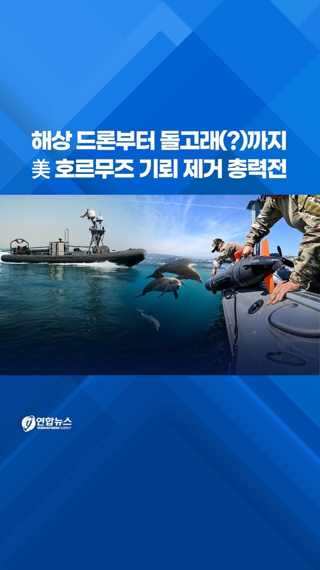 [쇼츠] 해상 드론부터 돌고래까지…美 호르무즈 기뢰 제거 총력전 - 2