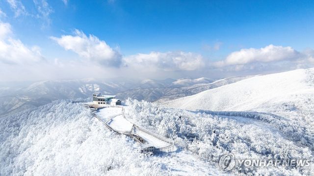 가리왕산 케이블카 설경