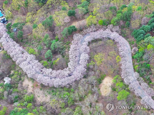 늦은 봄이 오는 길