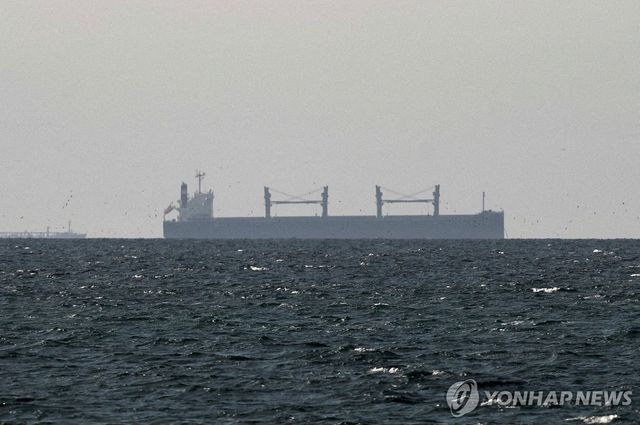 호르무즈 해협 인근의 화물선