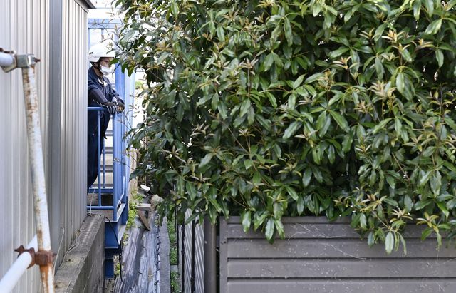 일본 미야기현 센다이시에서 곰을 수색하는 현지 관계자