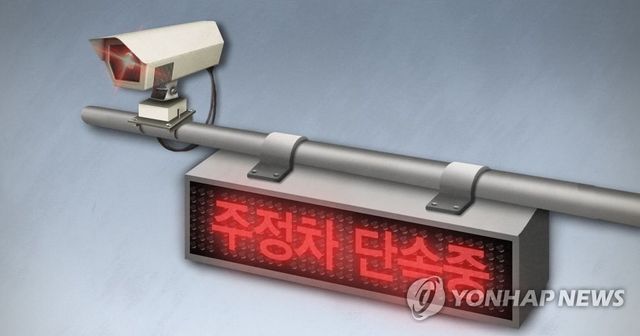 CCTV 주차단속(PG)