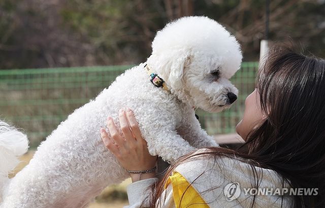 봉사자 품에 안긴 강아지