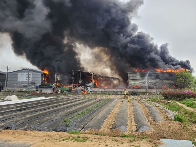 고양 식품가공 공장 화재