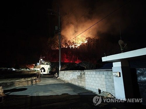 단양에서 발생한 산불