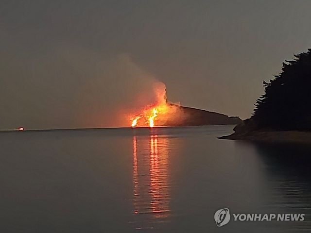 서산 무인도에서 산불 발생