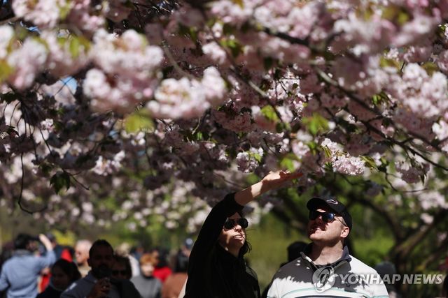 4월 런던 리젠트 공원