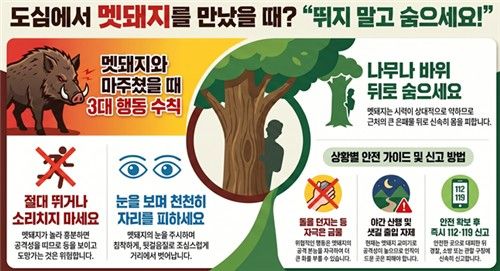 도심 멧돼지 행동 요령