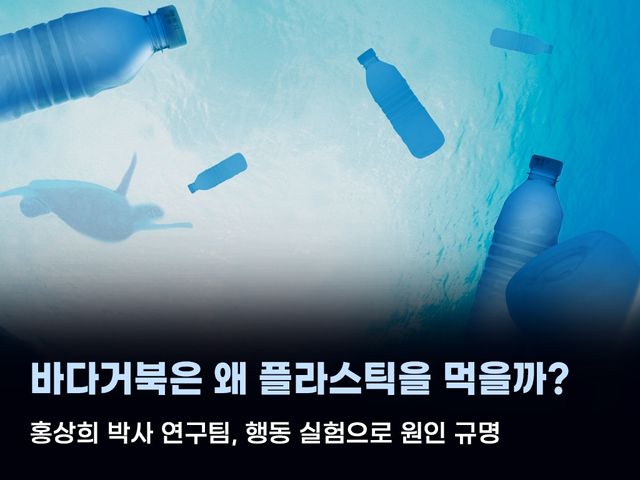 바다거북은 왜 플라스틱을 먹을까?