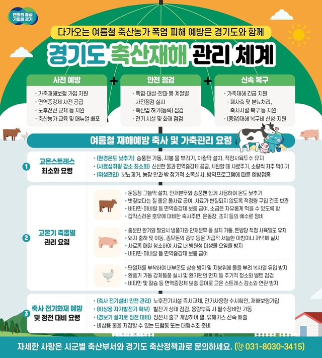 경기도, 축산 농가 폭염 피해 사전 대응