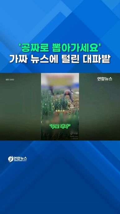 [쇼츠] "공짜로 뽑아가세요" 가짜영상에 중국 대파밭 '탈탈' 털렸다 - 2