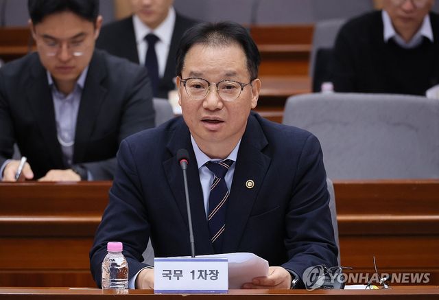 드론·대드론 통합 TF 회의에서 발언하는 김영수 국무1차장