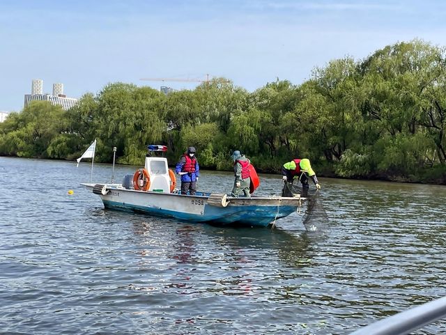 한강 어종 조사