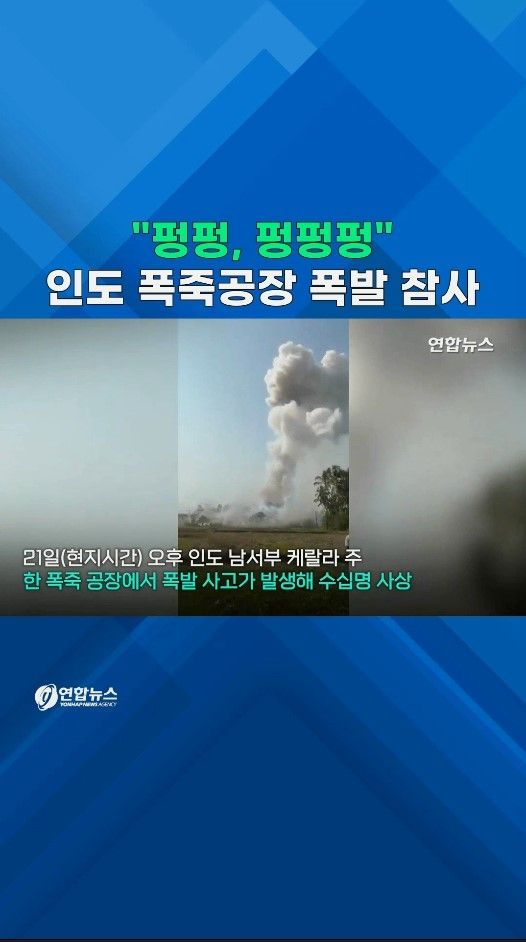 [쇼츠] "펑펑, 펑펑펑" 전쟁터인 줄…인도 폭죽공장 대형 폭발 - 2