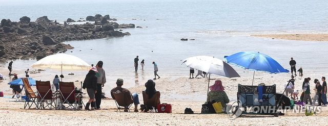 파라솔 아래 더위식히는 시민들