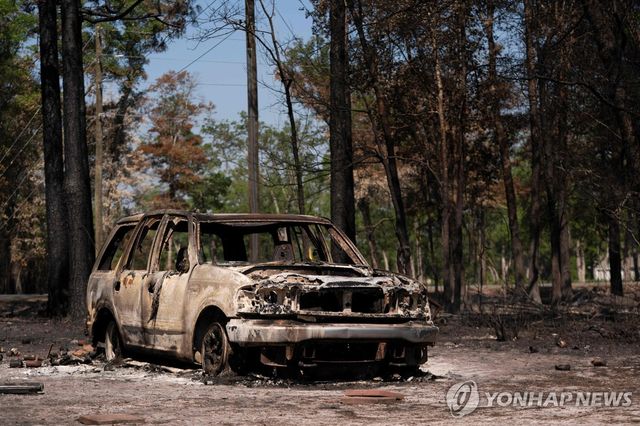 미국 조지아주 산불 확산…주지사 비상사태 발령