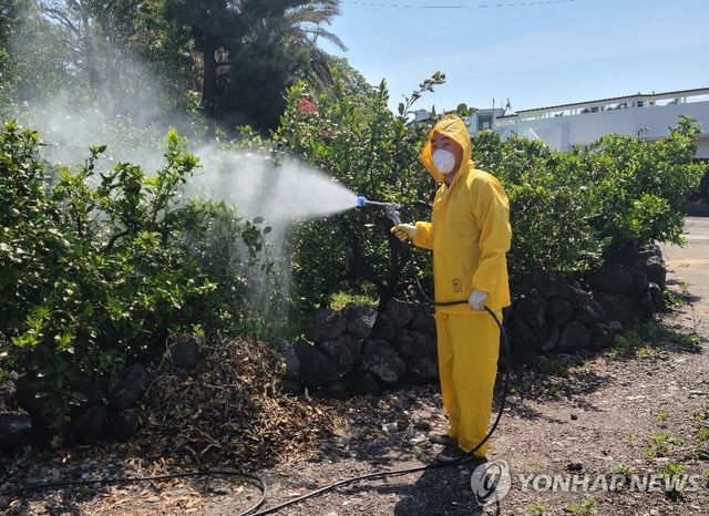 병충해 방역 작업하는 손주민씨