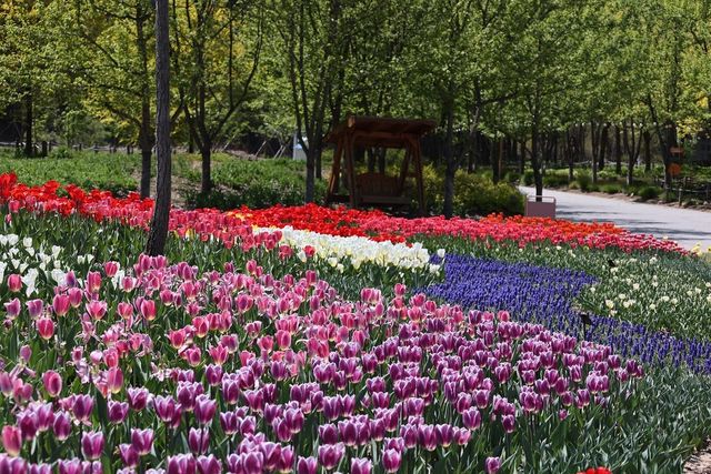 국립백두대간수목원 진입 광장