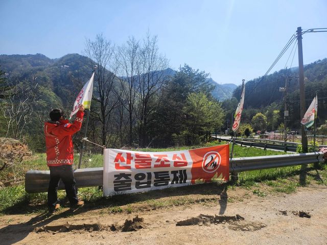 산불 유발 불법행위 '무관용' 대응