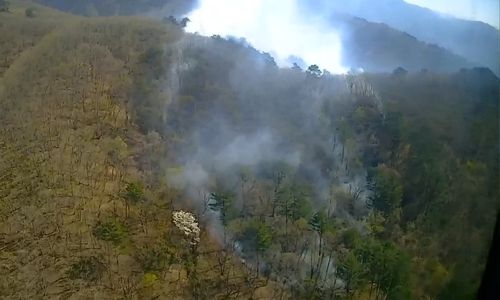 산불 현장 모습