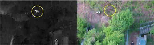 인왕산 생태통로로 이동하는 멧돼지